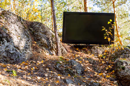 TV in the forest on stones is among the trees, you are outdated now the Internet is importantの写真素材