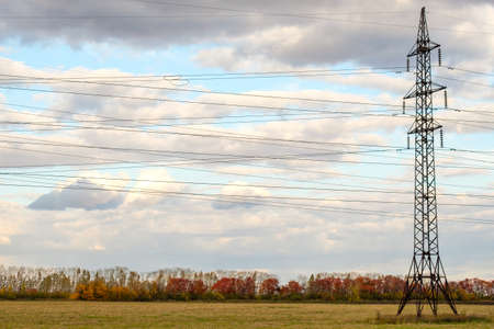 autumn period against the sky metal support with electric wires. power lines and natureの写真素材