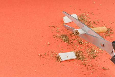 fight against nicotine addiction, cut cigarettes with scissors. small pieces of cigarettes and steel scissorsの写真素材