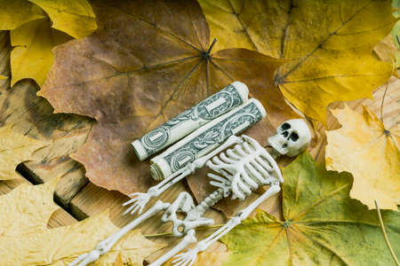 two rolled dollars next to a toy human skeleton on autumn leaves. autumn period of dollar decline