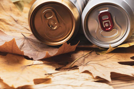 two cans of beer on the autumn foliage, aluminum cans and autumn leavesの写真素材