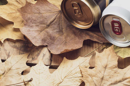 parts of two closed beer cans on fallen leaves. autumn beer festival
