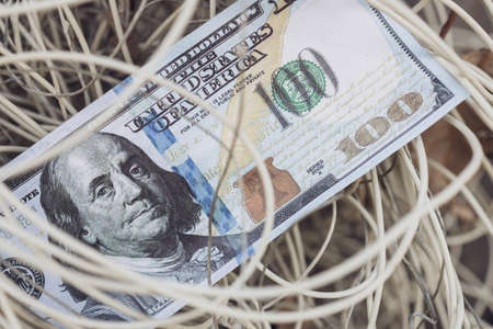 dollar and a plexus of white shavings. the intricacies of finance and intrigueの写真素材