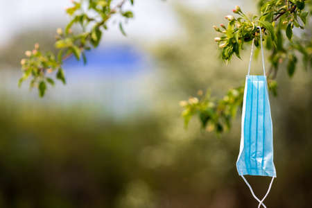 a medical mask hangs on a green branch of a tree, they left the mask due to uselessness. you don't need to wear a mask outdoorsの写真素材