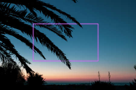 neon rectangular area crosses the silhouette of a palm tree branch, background evening sky on the seaの写真素材