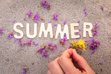 hand puts a flower on the sand, the inscription summer on the sand. summer mood concept lettering...