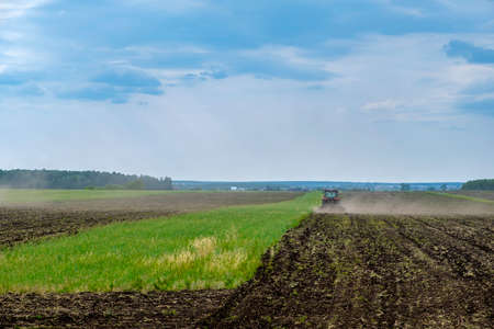 tractor plows the ground. preparation of land for growing plants in the field. field work in...