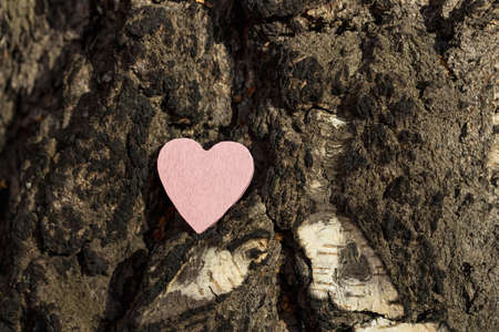 a lonely red heart made of wood on a birch tree trunk. love for nature, respect for trees