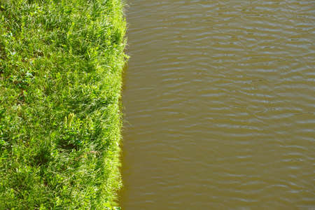 grass on shore green and green water border each other. summer river bank