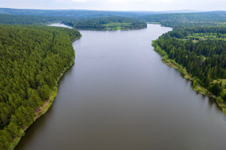 drone view of a pond located in the forest, the banks are covered with forest. aerial view of the lakeの写真素材