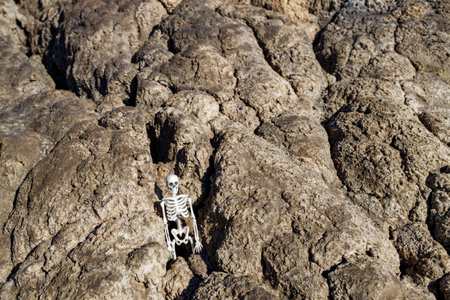 dry soil after a nuclear disaster and a human skeleton among the hills. the concept of what will remain after usの写真素材