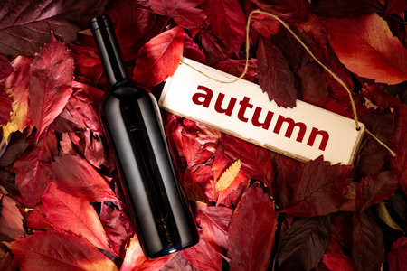 a bottle of wine on red leaves next to it is a signboard with the inscription autumn. autumn still life with wineの写真素材