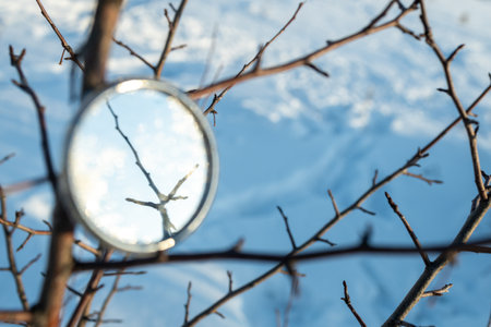 a round mirror on the branches of a dry tree, a winter forest and a reflective part of the tree in the mirrorの写真素材