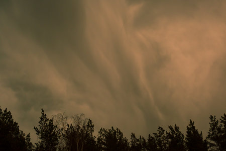 smeared clouds in the evening sky, cloudy sky over the forest.