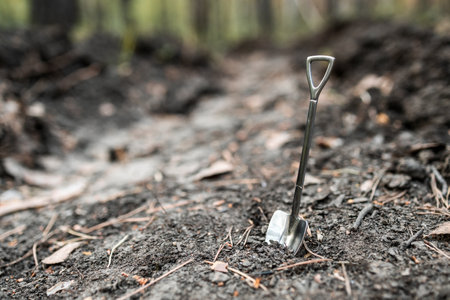 A metal shovel is digging a hole in the forest. The background is blurredの写真素材