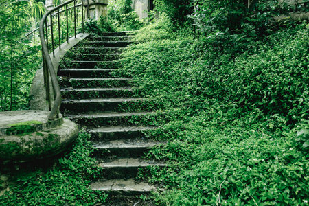 A staircase is surrounded by green grass and bushes. The steps are old and worn, but the surrounding...