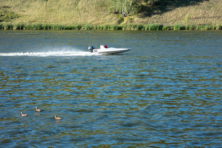 A man is driving a boat on a lake. The water is calm and the sky is clear