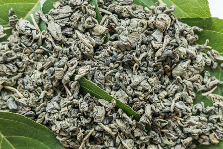 A pile of green tea leaves on a leafy green leaf. The leaves are small and scattered, giving the impression of a natural, organic productの写真素材