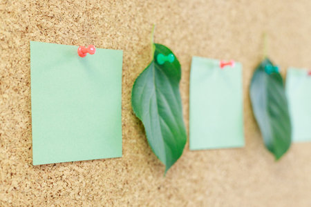 a distant view of the sheets of paper for notes and the leaves of the plant. note boardの写真素材
