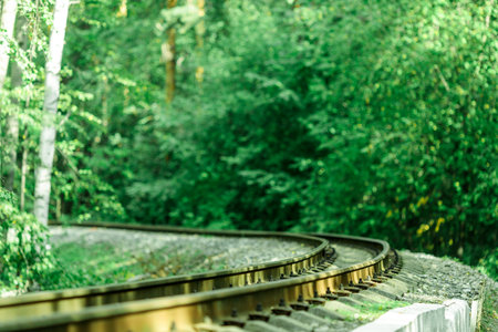 A train track with a lush green forest in the background. The train is not visibleの写真素材