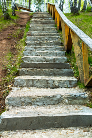 A set of concrete steps leading up to a wooden fence. The steps are gray and the fence is yellow