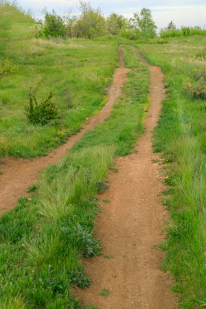 A dirt road with grass and weeds on either side. The road is narrow and winding, and the grass is tallの写真素材