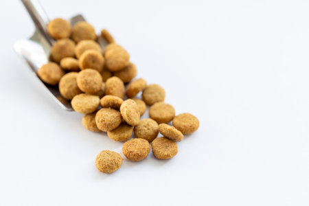 A scoop of dog food is shown in a pile. The dog food is in the shape of a scoop and is brown