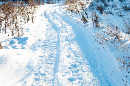 A snow covered path with tracks in the snow. The path is surrounded by trees and bushes