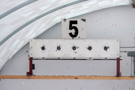 A bullet hole target with the number 5 on it. The target is surrounded by bullet holes. The bullet...