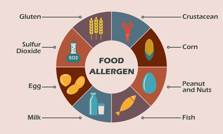 Food allergen icons set. Infographics design element. Colorful vector illustration.のイラスト素材
