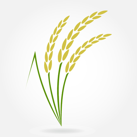 Rice. Crop symbol. Rice or Wheat ears design element. Agriculture grain.のイラスト素材