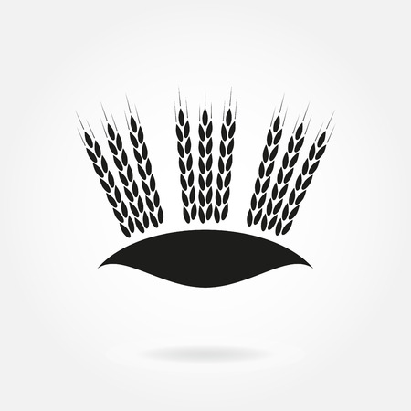 Wheat ears or rice icon. Crop, barley or rye symbol. Design element for beer label or bread packaging.のイラスト素材