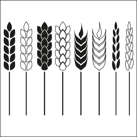 Wheat ears and rice icon set. Crop, barley or rye signs. Agriculture design element collection. Vector illustration.のイラスト素材