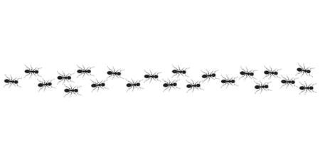 Ant trail. Ants marching or walking. Vector illustration.のイラスト素材