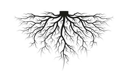 Root of the tree. Black silhouette. Vector illustration.のイラスト素材