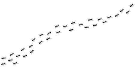 Ant trail background. Walking or marching ants. Vector illustration.のイラスト素材