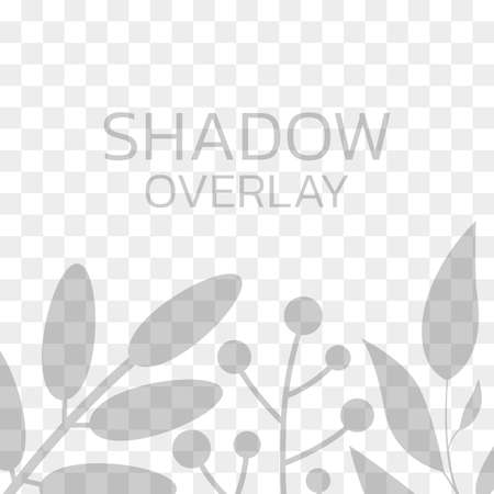 Shadow overlay. Transparent background with leaves and plants. Vector illustration.のイラスト素材