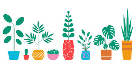 House plant set in pots. Indoor houseplants in flowerpots for interior design. Vector illustration.のイラスト素材