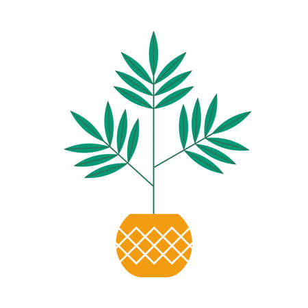 Flower in a pot. Houseplant icon. Parlor palm, dracena isolated on white background. Vector illustration.のイラスト素材