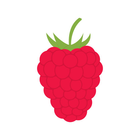 Raspberry icon. Ripe berry sign. Vector illustration.のイラスト素材