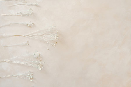 Dried flowers and twigs on pastel beige backdrop, copy space.の写真素材