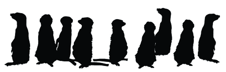 Meerkats family in different postures vector silhouette illustration.のイラスト素材