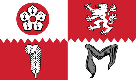 Vector flag of Leicestershire County, England. United Kingdom.のイラスト素材