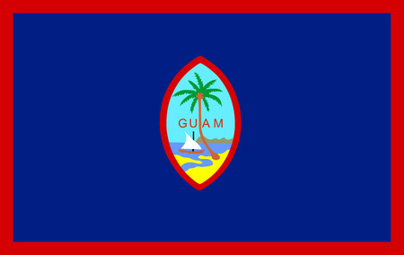 Guam flag vector.のイラスト素材