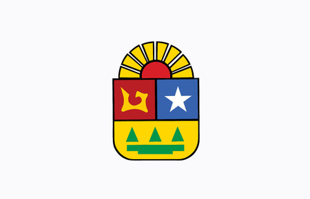 Quintana Roo, Mexico, vector flag.のイラスト素材