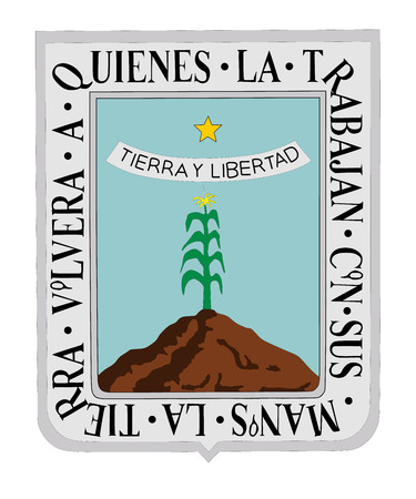 Vector flag of Morelos, Mexico.のイラスト素材