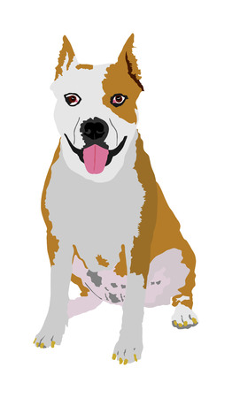 Dog portrait of sitting American Staffordshire pit bull terrier vector illustration isolated.のイラスト素材