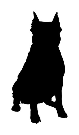 Dog portrait of American Staffordshire pit bull terrier vector silhouette illustration isolated. Beware of purebred dog. Dog show champion. Best friend. Alert, guard attention.のイラスト素材