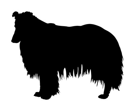Portrait of Rough Collie vector silhouette illustration isolated. Scottish Shepherd dog silhouette.のイラスト素材