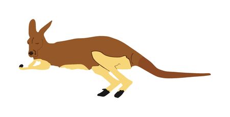Kangaroo vector illustration isolated on white background. Australian animal portrait. Tourist symbol souvenir. Fauna best jumper. Zoo attraction.のイラスト素材